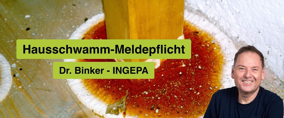 Hausschwamm-Meldepflicht, Dr. Binker, INGEPA