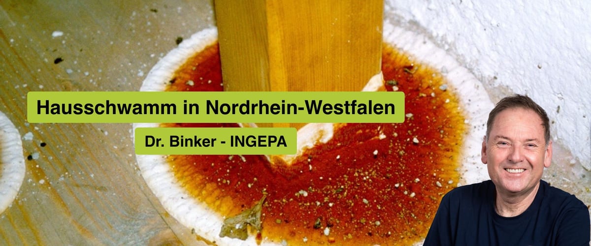 Hausschwamm in Nordrhein-Westfalen, Dr. Gerhard Binker, INGEPA