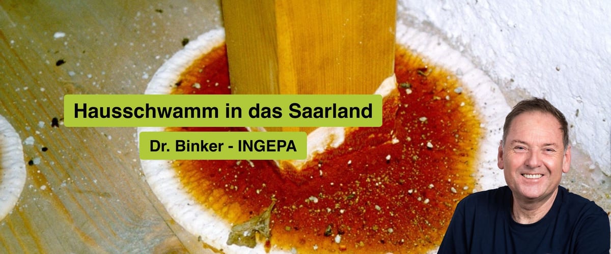 Hausschwamm in das Saarland, Dr. Gerhard Binker, INGEPA