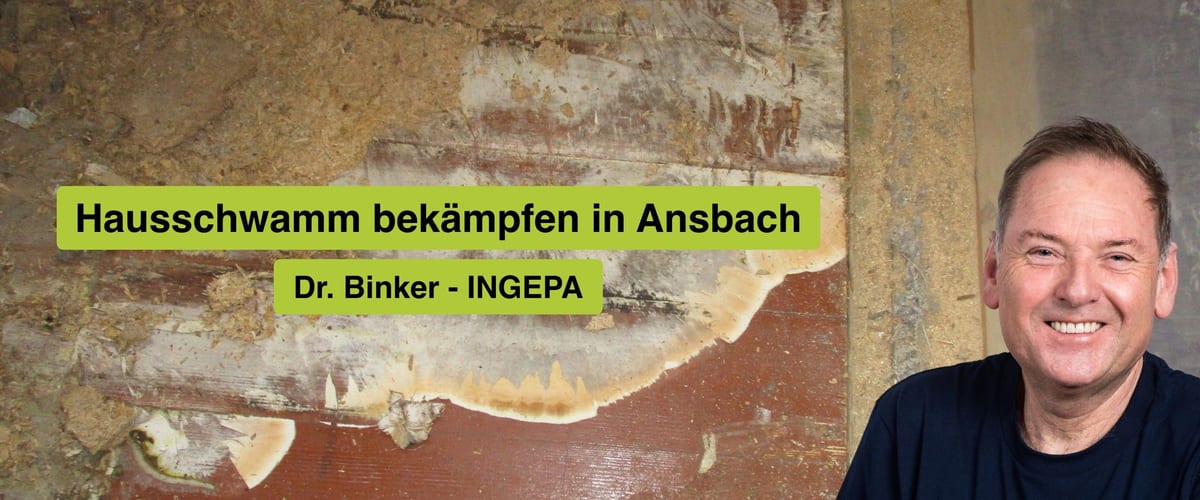 Hausschwamm bekämpfen in Ansbach, Dr. Binker von INGEPA, großflächiger Befall des Echten Hausschwamms an einer Wand