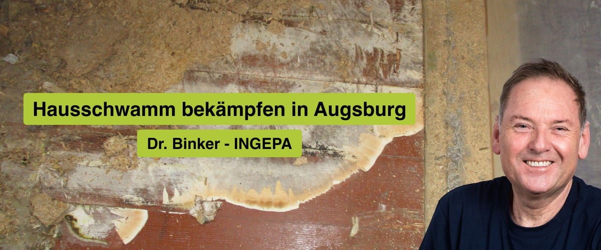 Hausschwamm bekämpfen in Augsburg, Dr. Binker von INGEPA, großflächiger Befall des Echten Hausschwamms an einer Wand