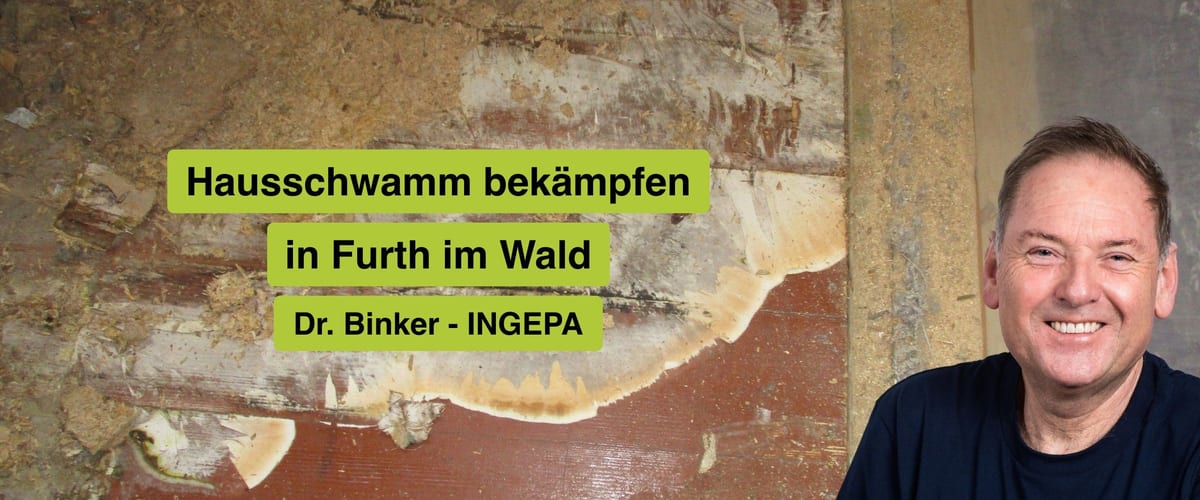 Hausschwamm bekämpfen in Furth im Wald, Dr. Binker von INGEPA, großflächiger Befall des Echten Hausschwamms an einer Wand