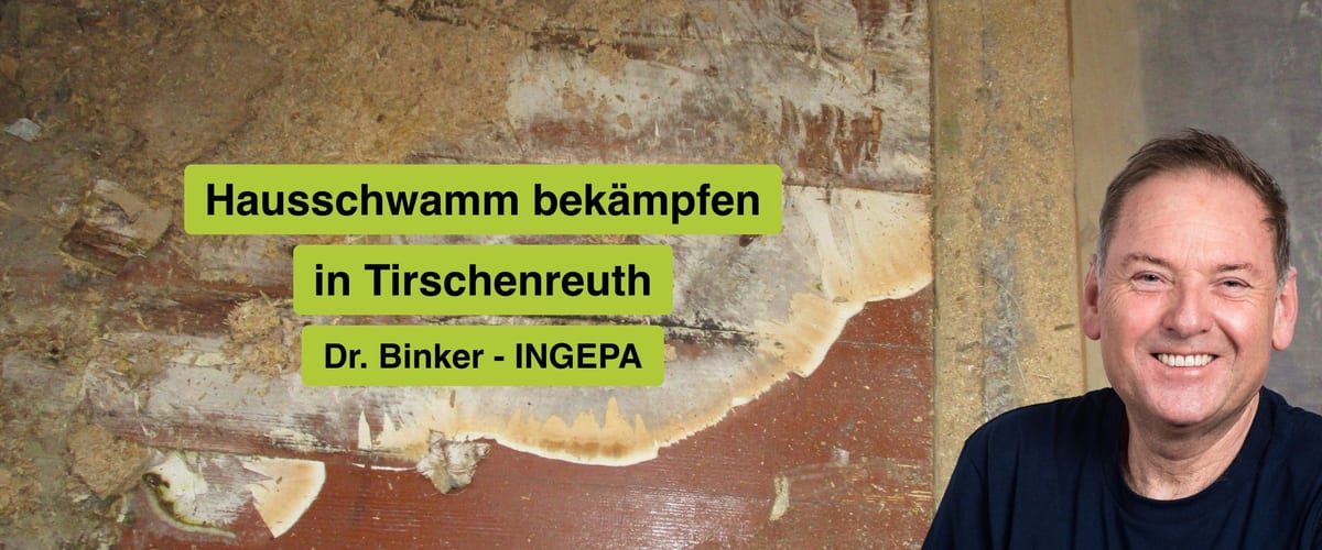 Hausschwamm bekämpfen in Tirschenreuth, Dr. Binker von INGEPA, großflächiger Befall des Echten Hausschwamms an einer Wand