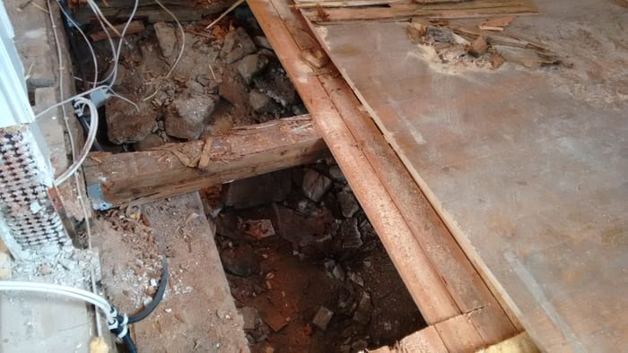 Nahaufnahme des Echten Hausschwamms an einem Holzbauteil