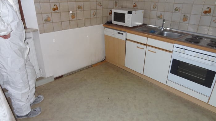 Ausgebreiteter Echter Hausschwamm an Wand und Holz
