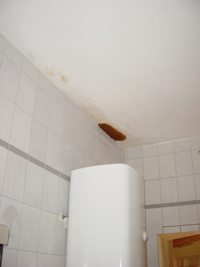 Befall des Echten Hausschwamms an der Decke eines Pfarrhauses bei Eggenfelden