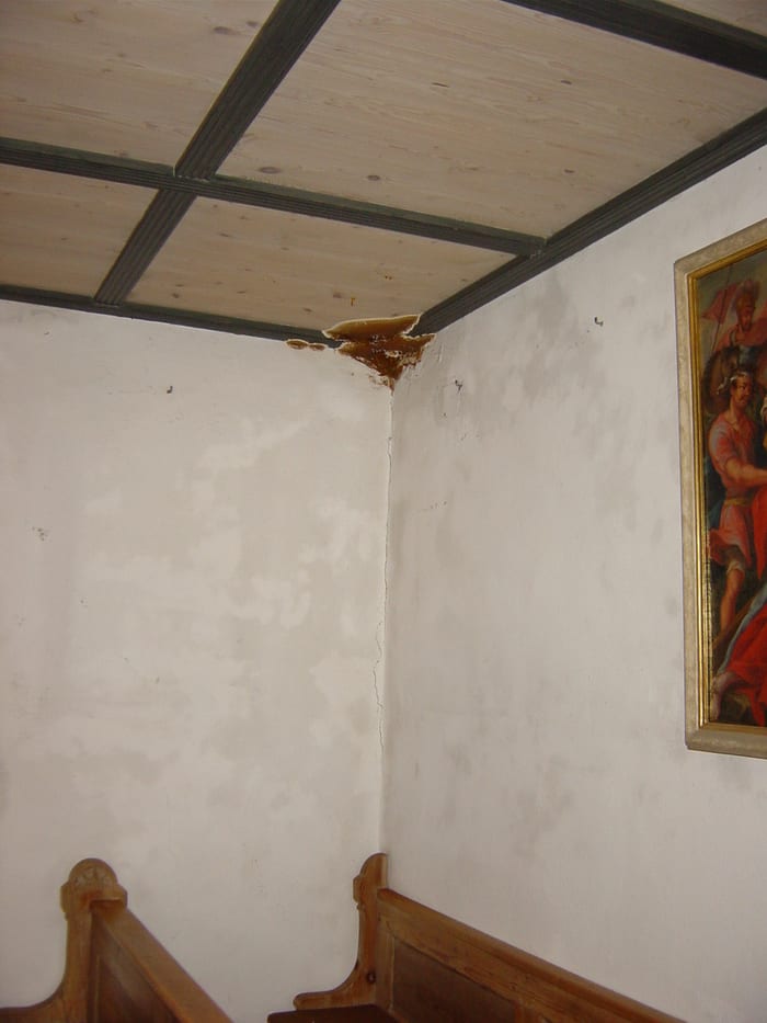 Rostbrauner Fruchtkörper des Echten Hausschwamms tritt in einer Raumecke aus der verputzten Wand unter einer Holzdecke aus