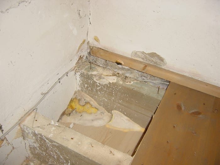 Fruchtkörper des Echten Hausschwamms an verbautem Holz