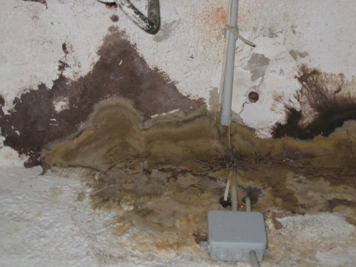 Detail des Befalls an verbautem Holz nähe Pfullendorf