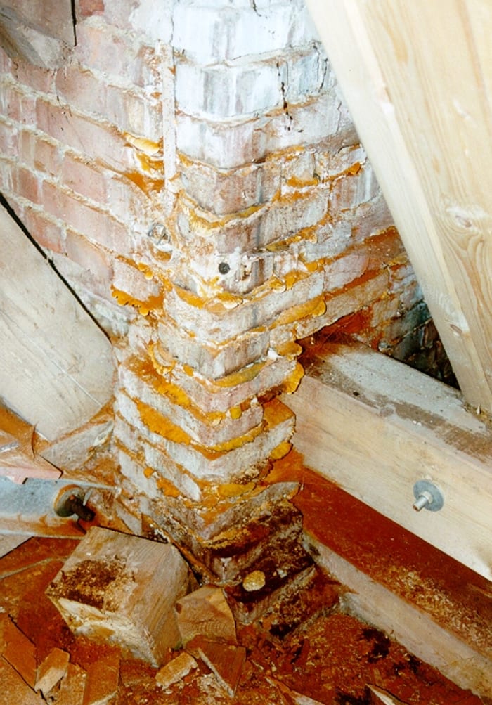 Detail des erneuten Hausschwamm-Befalls an neuem Holz bei Rosenheim