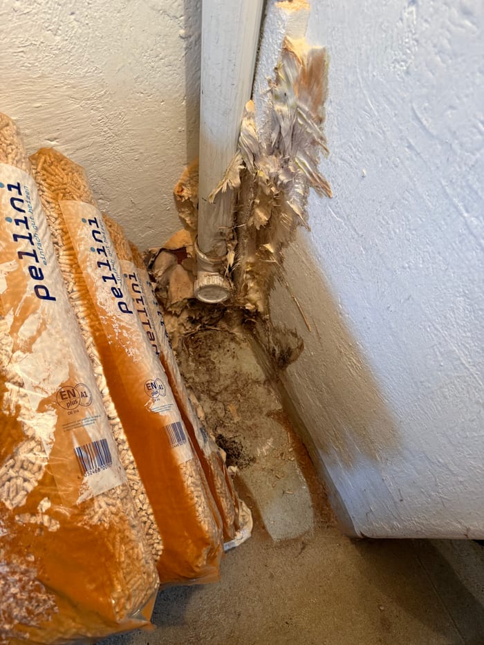 Befall des Echten Hausschwamms an verbautem Holz, ausgeprägtes Myzel