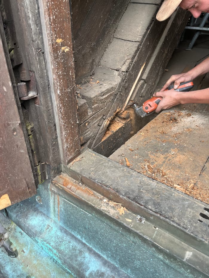 Befall des Echten Hausschwamms an verbautem Holz, Fruchtkörper und Myzel