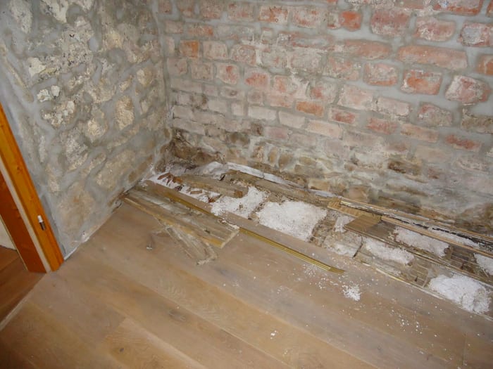 Echter Hausschwamm an freigelegtem Holz und Mauerwerk