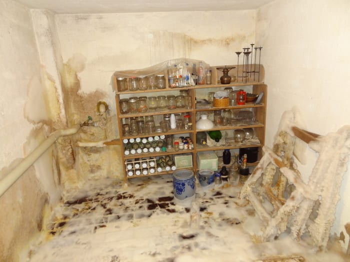 Durch den Echten Hausschwamm zersetztes, geschädigtes Holz