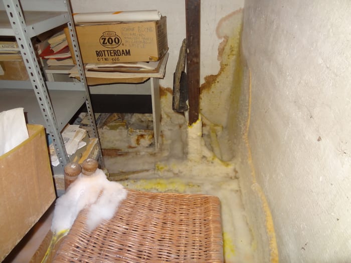 Befallenes Holzbauteil mit weißem Myzel des Echten Hausschwamms