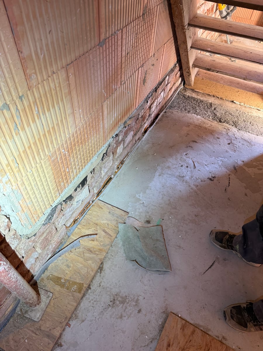 Suchbild: Boden-Wand-Randfuge in einem Gebäude in Neustadt an der Aisch – wo sitzt der Echte Hausschwamm?