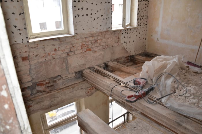 Befall des Echten Hausschwamms in einem Nürnberger Altbau, Fruchtkörper und Myzel an der Wand
