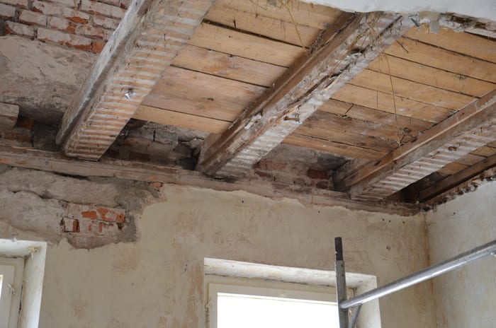 Nahaufnahme des Echten Hausschwamms in einem Altbau in Nürnberg, rötlich-brauner Fruchtkörper mit hellem Rand