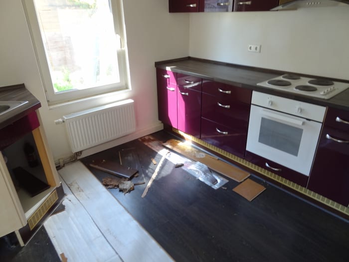 Befall des Echten Hausschwamms an einem Holzbauteil, Fruchtkörper und Myzel