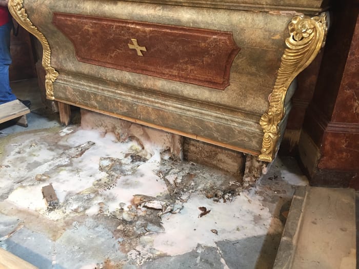 Befall des Echten Hausschwamms an einem Holzbauteil, Fruchtkörper und Myzel
