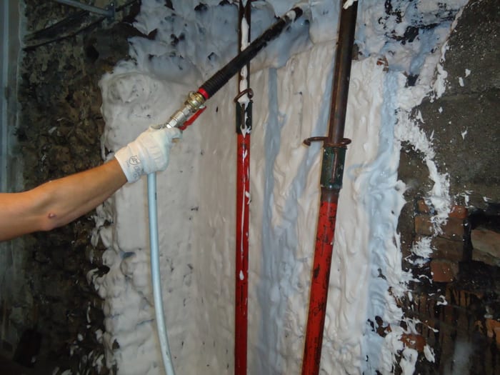 Nahaufnahme des Echten Hausschwamms am Holz