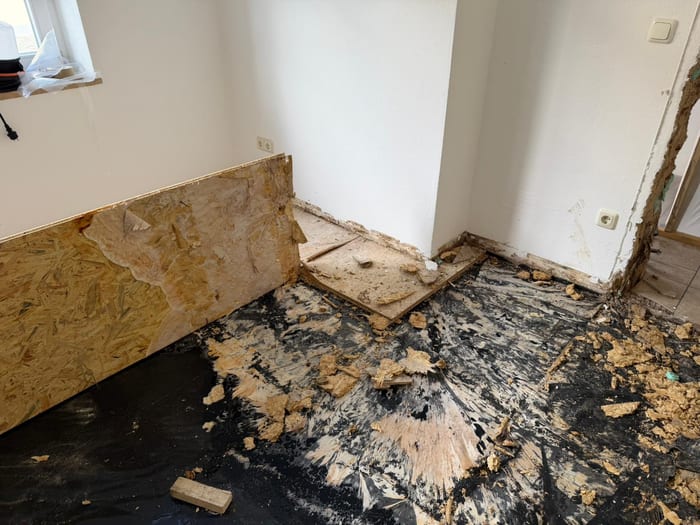 Ausgebreitetes weißes Myzel des Echten Hausschwamms im Fußbodenaufbau