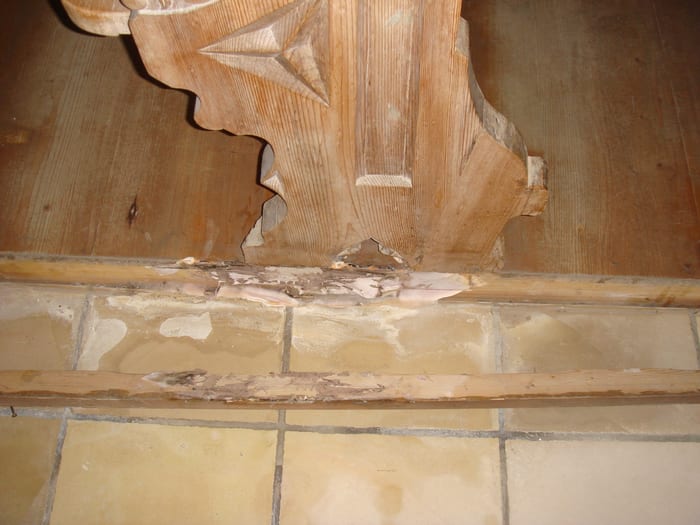 Befall des Echten Hausschwamms an verbautem Holz, Fruchtkörper und Myzel