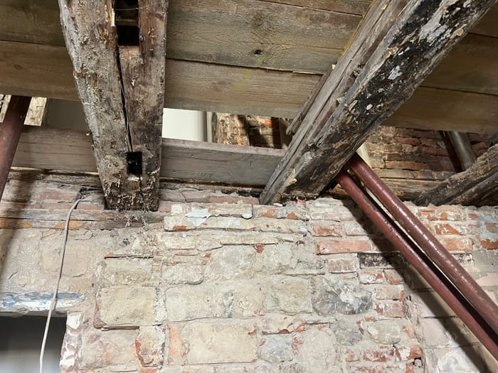 Befall des Echten Hausschwamms an verbautem Holz, Fruchtkörper und Myzel