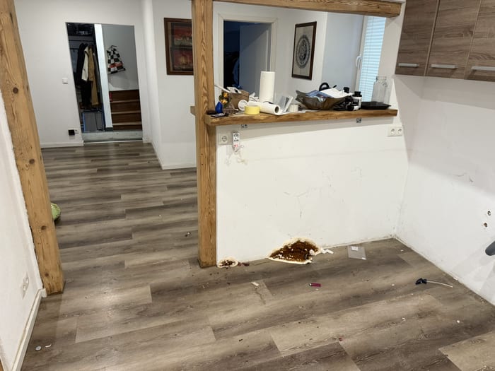 Massiver Echter-Hausschwamm-Befall in einem fehlerhaften Bodenaufbau