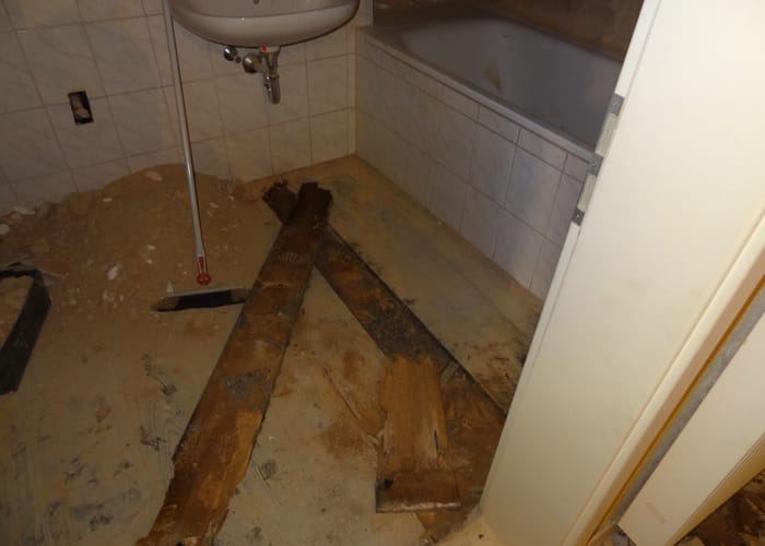 Echter Hausschwamm: Wohnhaus bei Erlangen, Eine Badezimmer-Leckage erzeugte den Befall.