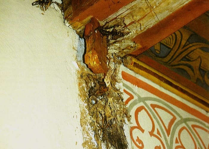 Echter Hausschwamm: Kirche bei München-Germering, Eine tragende Stützsäule war komplett zersetzt.