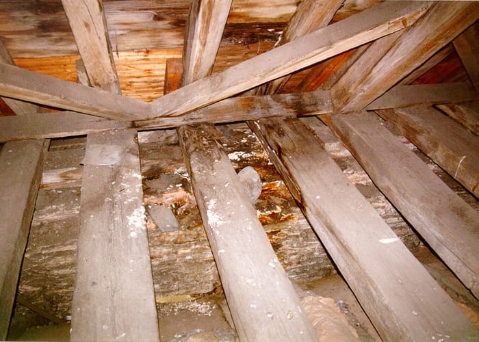 Echter Hausschwamm: Kirche in Tirschenreuth, Gewölbe und Bogenspanten des Dachstuhls befallen, es bestand Einsturzgefahr.