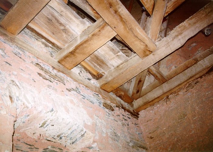 Echter Hausschwamm: Kirchturm in Amberg, Im Kirchturm zeigten sich noch Fruchtkörperreste vom Sommer.