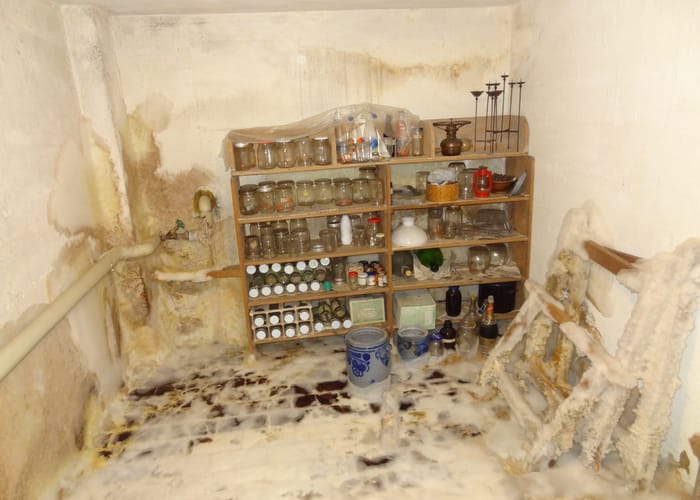 Echter Hausschwamm: Wohnhauskeller bei München, Feuchter Keller mit eingelagerten Holzmöbeln, lange nicht kontrolliert.