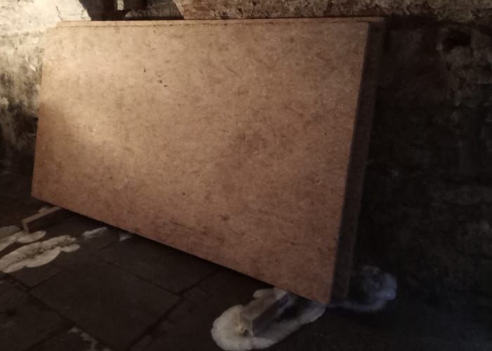 Echter Hausschwamm: Keller in Schwäbisch Hall, Zu feuchter Keller mit eingelagertem Holz, fachgerechte Bekämpfung.