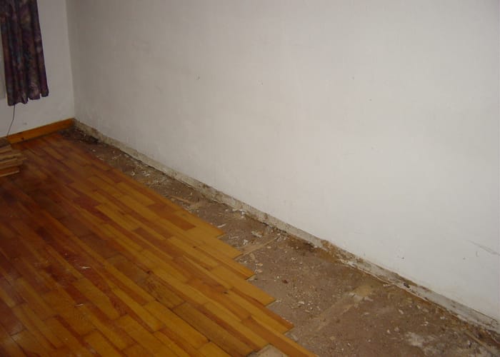 Echter Hausschwamm: Wohnhaus in Würzburg, Der Fußboden in Küche und Wohnzimmer war befallen.