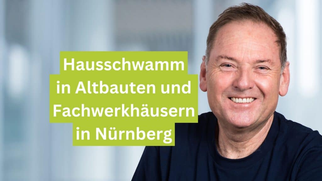 Hausschwamm in Altbauten und Fachwerkhäusern in Nürnberg