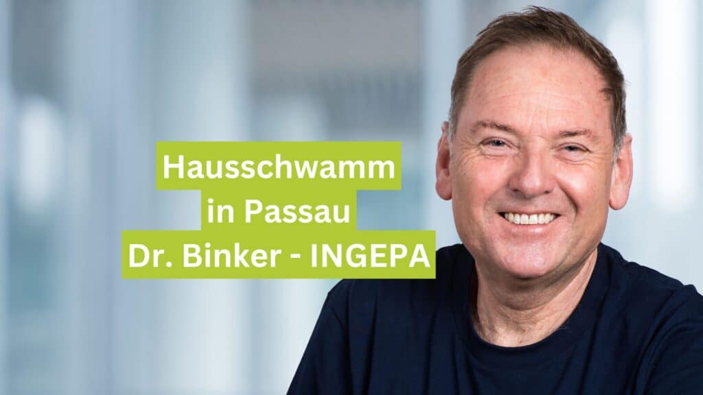 Hausschwamm in Passau Dr. Binker - INGEPA
