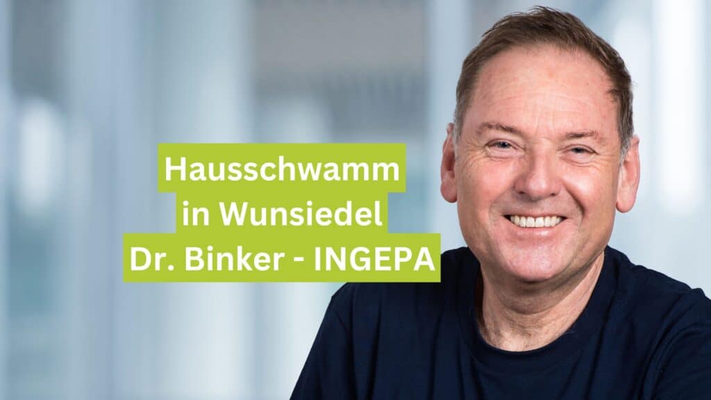 Hausschwamm in Wunsiedel Dr. Binker - INGEPA
