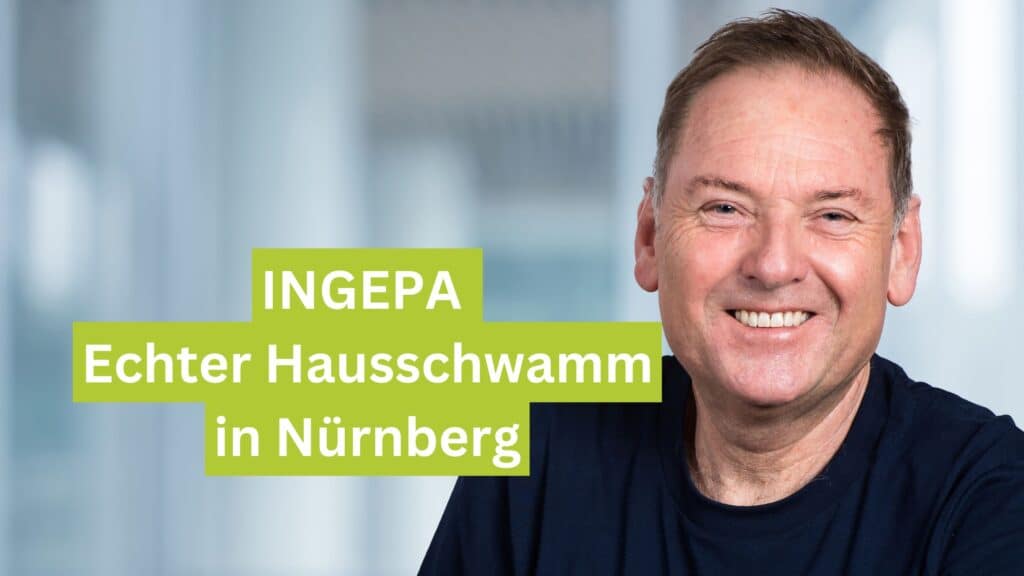 INGEPA Echter Hausschwamm in Nürnberg
