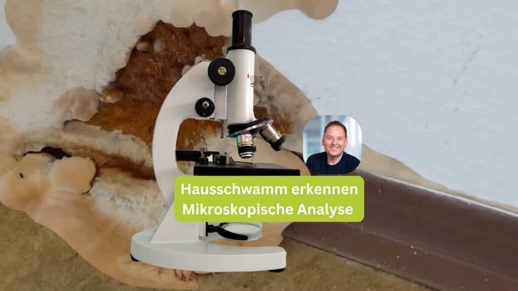 Hausschwamm erkennen Mikroskopische Analyse